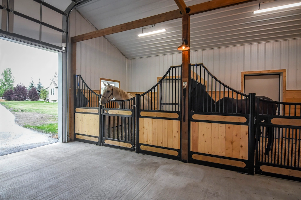 Horses relax inside a pole barn with three horse stalls while the overhead door is open