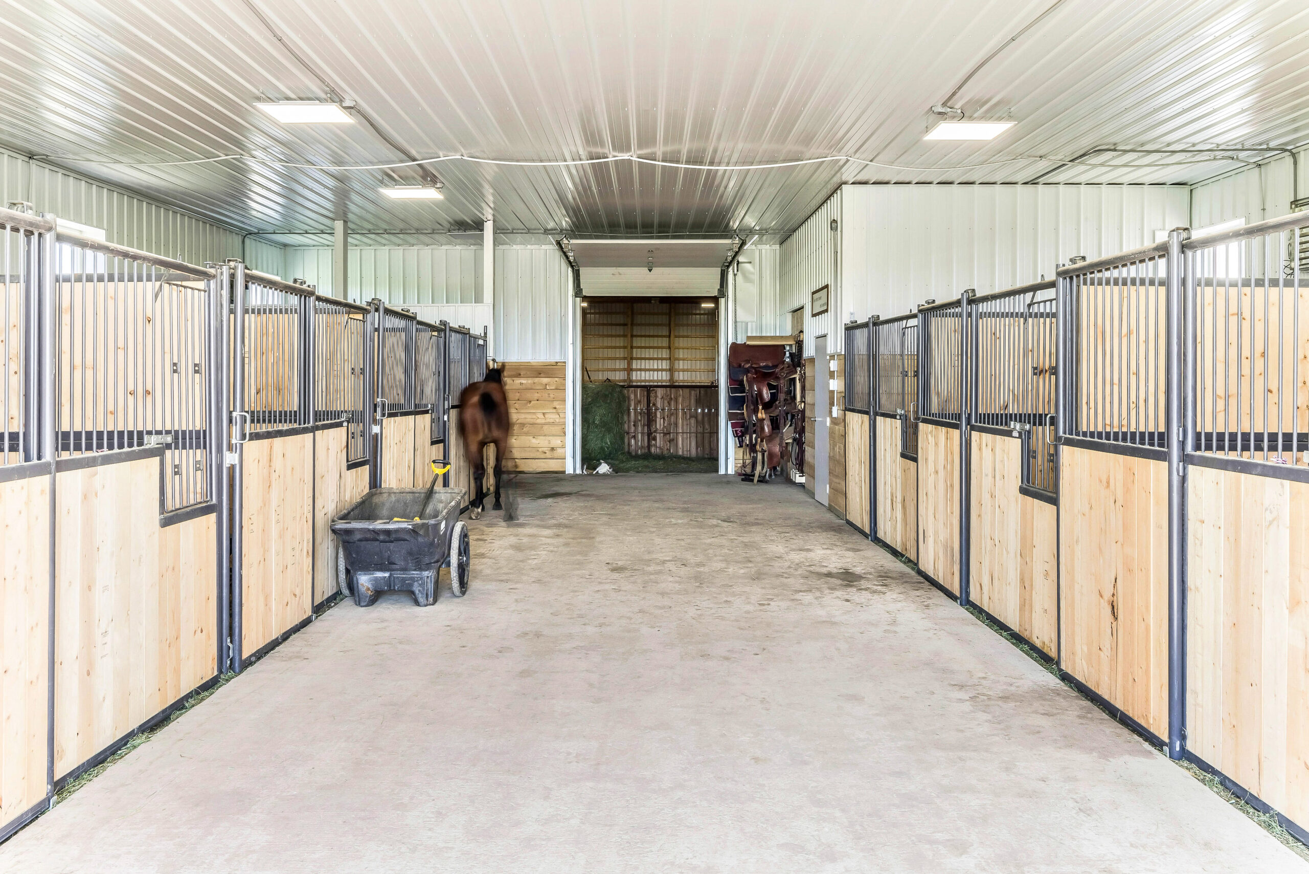 Interior of a horse barn and riding arena complete with horse stalls