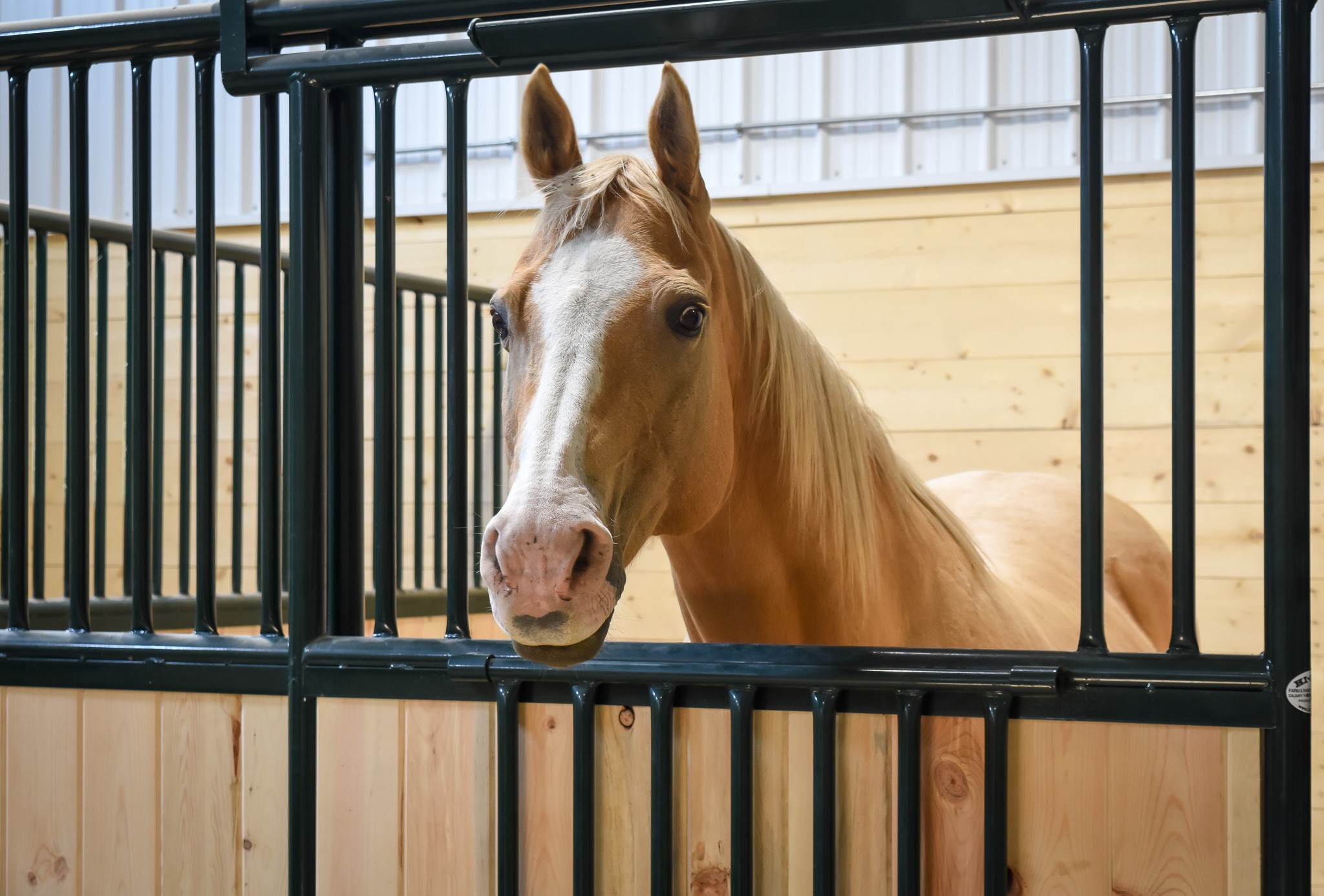 Arena with horse stalls building designed for training, events, and year-round equestrian use