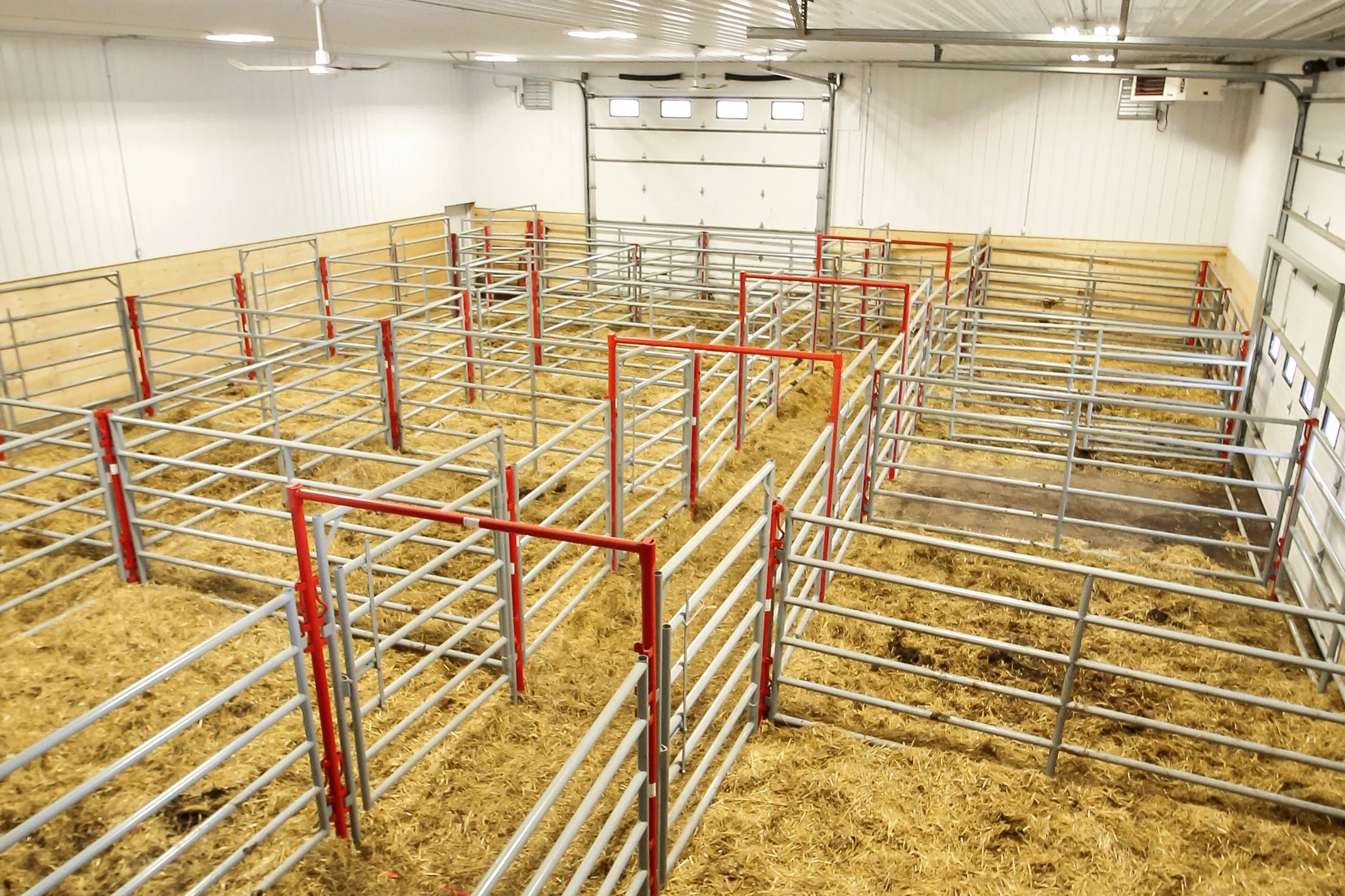 The interior of a fully finished calving barn with temporary maternity pens.