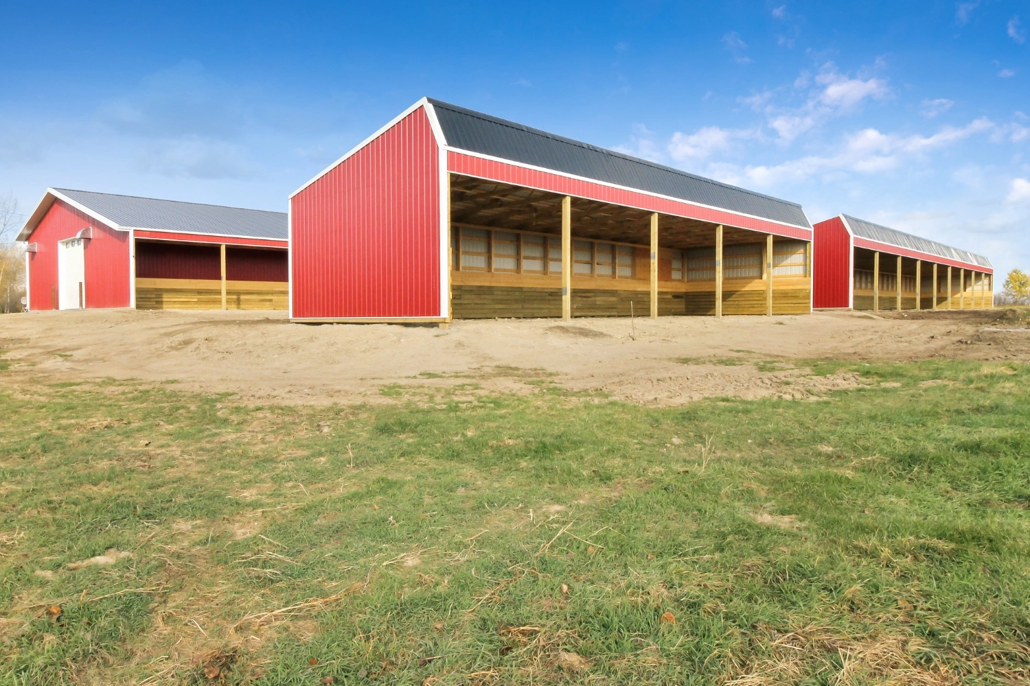 Three cattle shelters. Two of them are standalone structures and the third is attached to a calving barn.