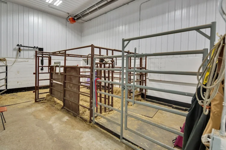 Maternity pens inside a custom calving barn.
