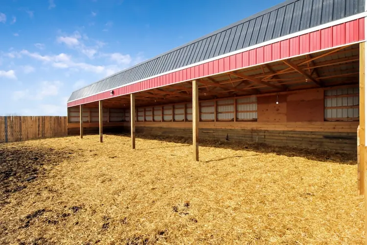 A open-sided cattle shelter built from post frame.