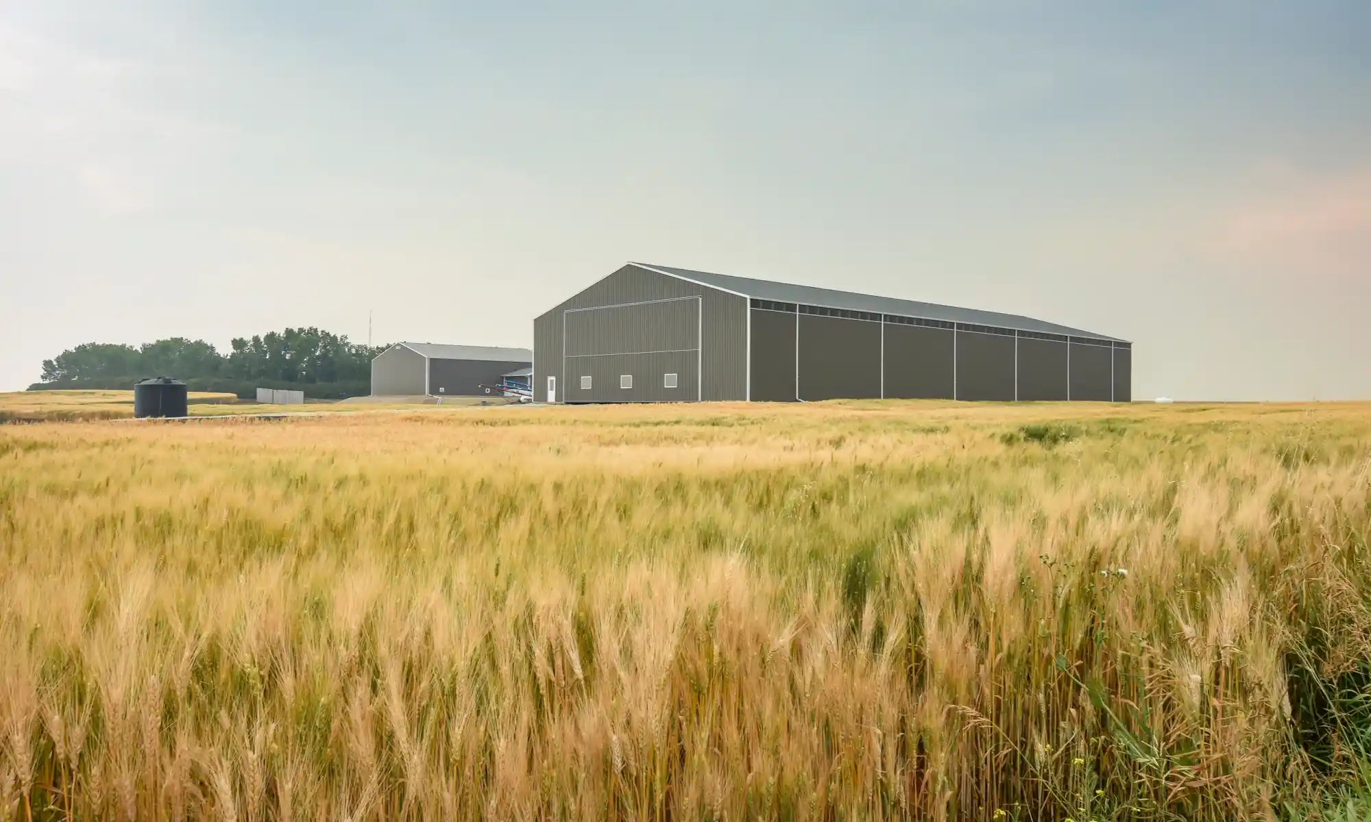 Two post frame buildings stands strong in a field exposed to harsh weather